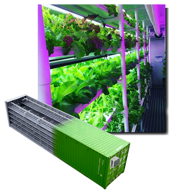 Shipping Container Farm